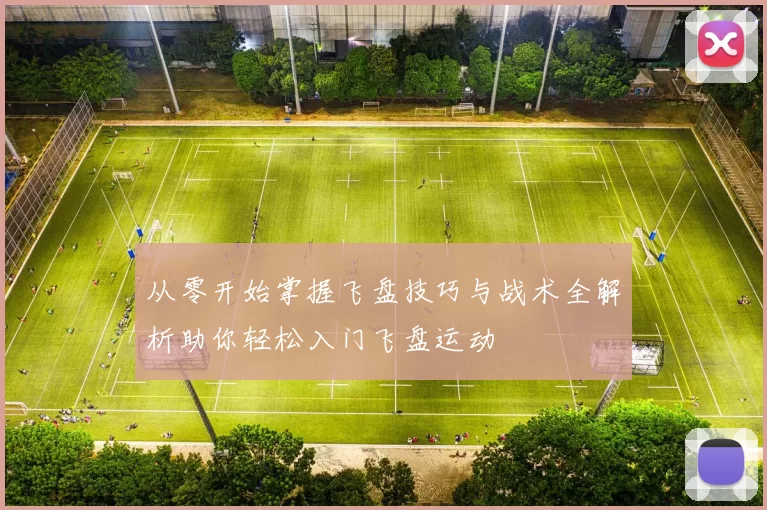 从零开始掌握飞盘技巧与战术全解析助你轻松入门飞盘运动