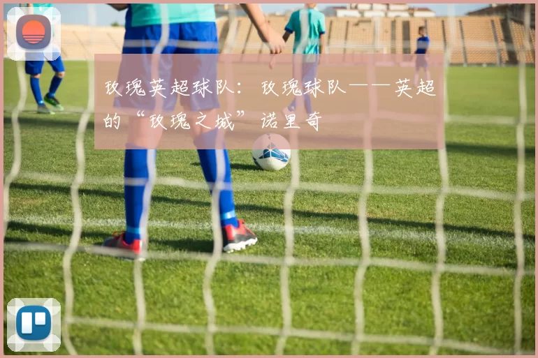 玫瑰英超球队：玫瑰球队——英超的“玫瑰之城”诺里奇