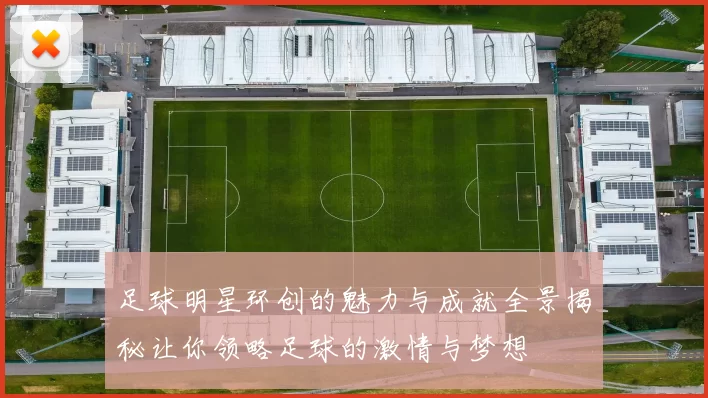 足球明星环创的魅力与成就全景揭秘让你领略足球的激情与梦想