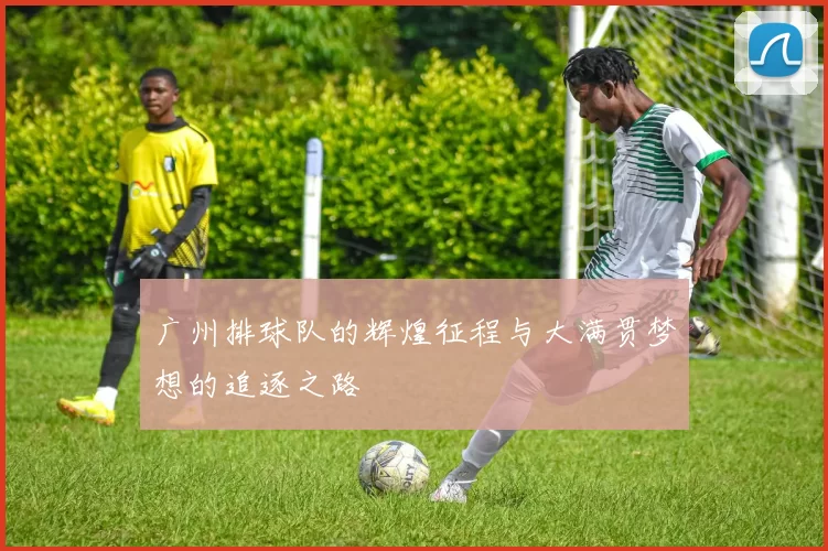 广州排球队的辉煌征程与大满贯梦想的追逐之路
