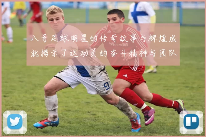 八号足球明星的传奇故事与辉煌成就揭示了运动员的奋斗精神与团队合作的重要性