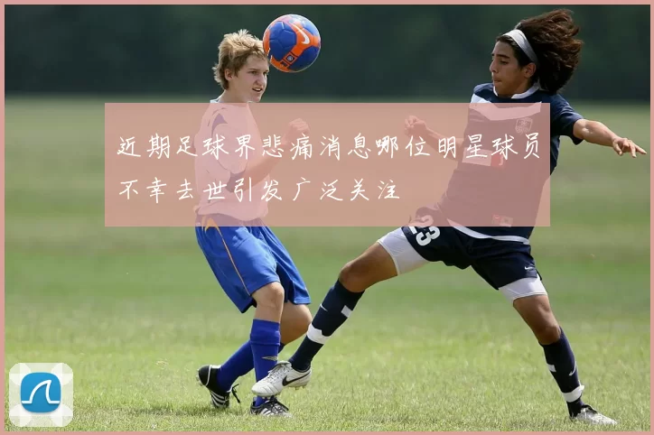 近期足球界悲痛消息哪位明星球员不幸去世引发广泛关注