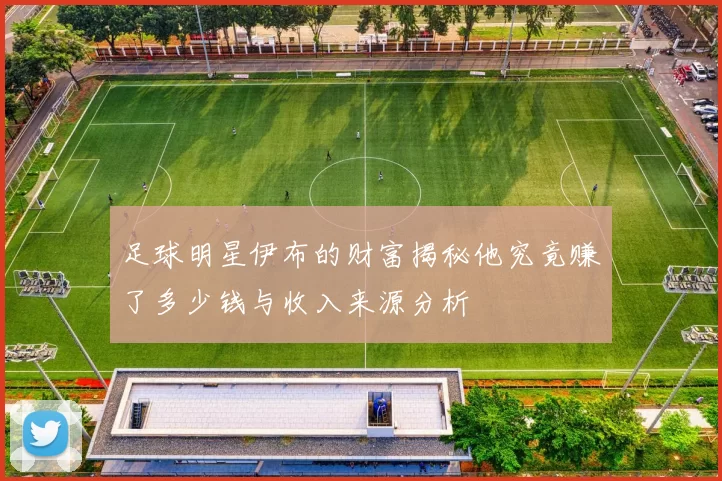 足球明星伊布的财富揭秘他究竟赚了多少钱与收入来源分析