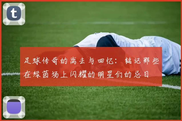 足球传奇的离去与回忆：铭记那些在绿茵场上闪耀的明星们的忌日