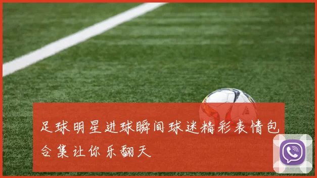 足球明星进球瞬间球迷精彩表情包合集让你乐翻天