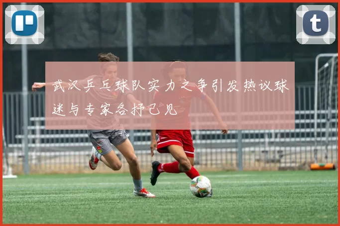 武汉乒乓球队实力之争引发热议球迷与专家各抒己见