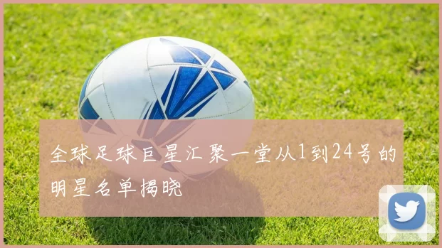 全球足球巨星汇聚一堂从1到24号的明星名单揭晓
