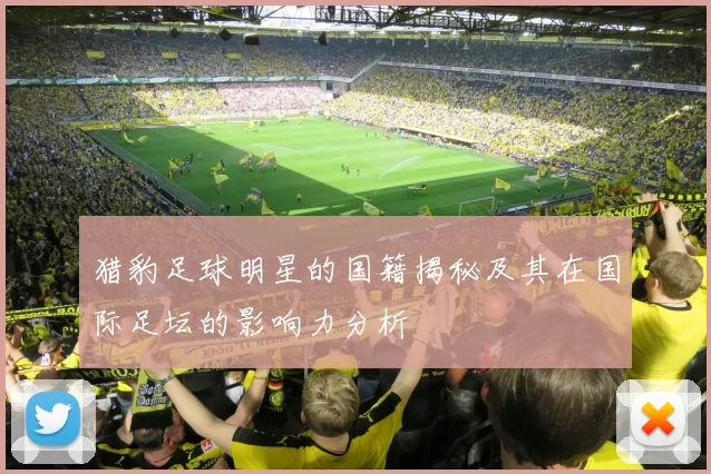 猎豹足球明星的国籍揭秘及其在国际足坛的影响力分析