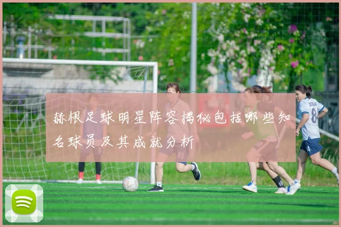 赫根足球明星阵容揭秘包括哪些知名球员及其成就分析