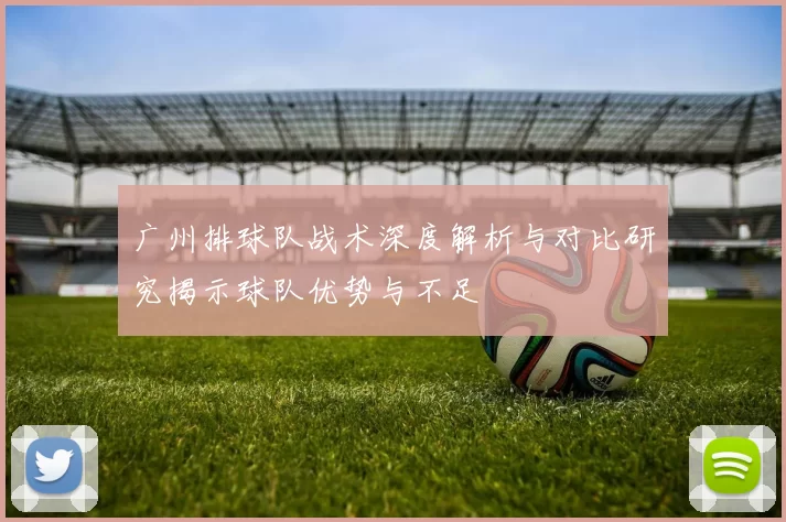 广州排球队战术深度解析与对比研究揭示球队优势与不足