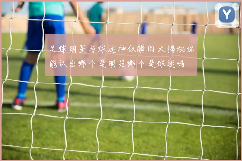 足球明星与球迷神似瞬间大揭秘你能认出哪个是明星哪个是球迷吗