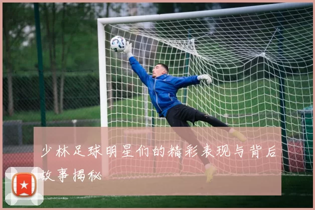 少林足球明星们的精彩表现与背后故事揭秘