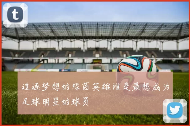 追逐梦想的绿茵英雄谁是最想成为足球明星的球员