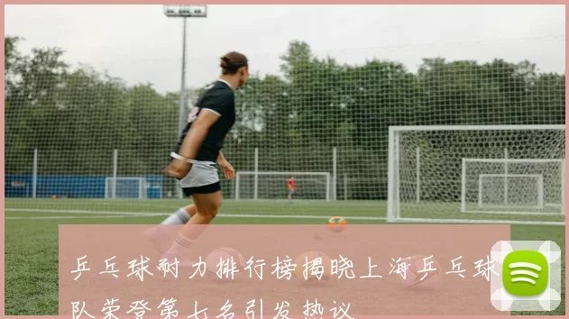 乒乓球耐力排行榜揭晓上海乒乓球队荣登第七名引发热议