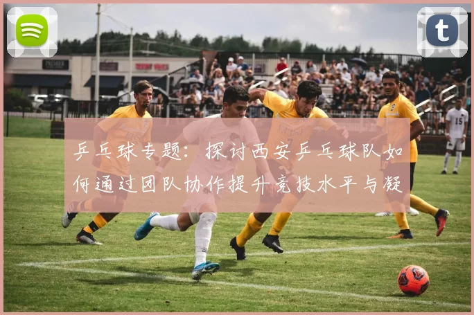 乒乓球专题：探讨西安乒乓球队如何通过团队协作提升竞技水平与凝聚力