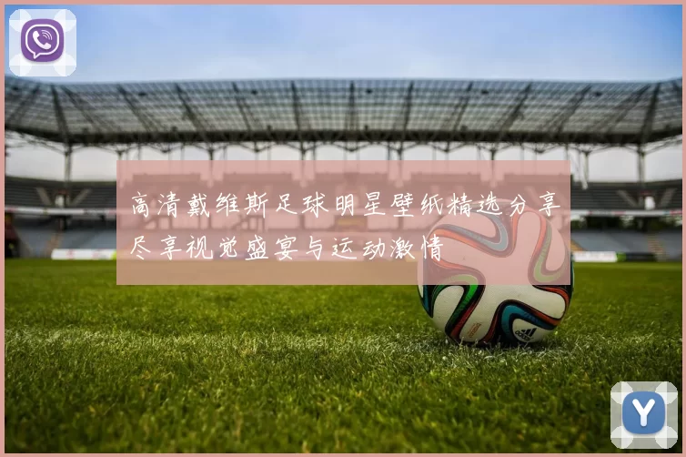 高清戴维斯足球明星壁纸精选分享尽享视觉盛宴与运动激情