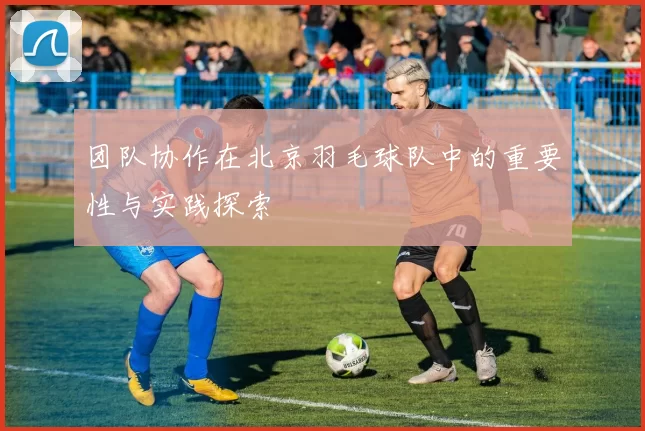 团队协作在北京羽毛球队中的重要性与实践探索