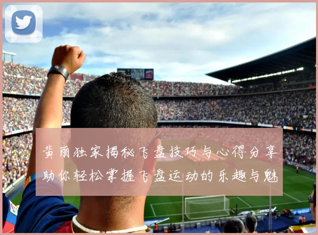 黄丽独家揭秘飞盘技巧与心得分享助你轻松掌握飞盘运动的乐趣与魅力