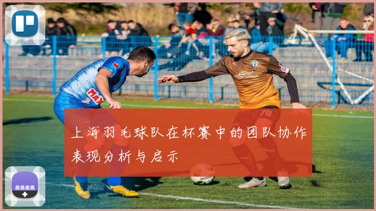 上海羽毛球队在杯赛中的团队协作表现分析与启示