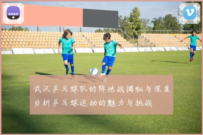 武汉乒乓球队的阵地战揭秘与深度分析乒乓球运动的魅力与挑战