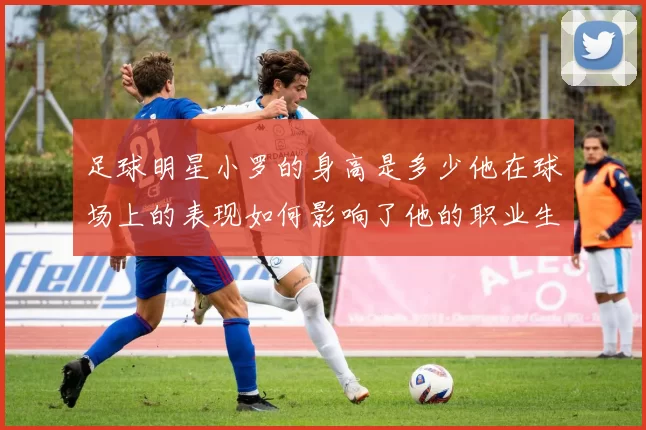 足球明星小罗的身高是多少他在球场上的表现如何影响了他的职业生涯