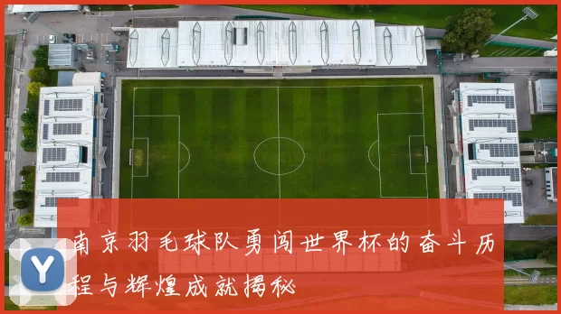 南京羽毛球队勇闯世界杯的奋斗历程与辉煌成就揭秘