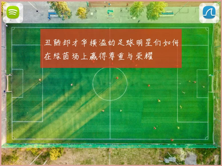 丑陋却才华横溢的足球明星们如何在绿茵场上赢得尊重与荣耀