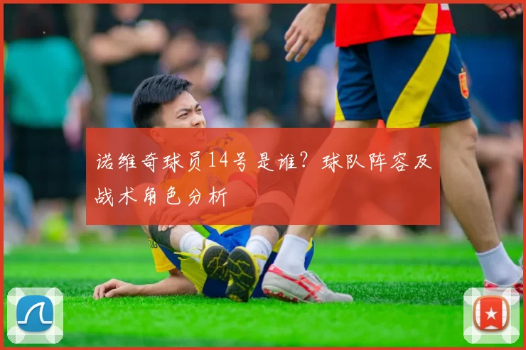 诺维奇球员14号是谁？球队阵容及战术角色分析
