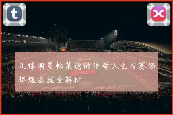 足球明星帕莱德的传奇人生与赛场辉煌成就全解析