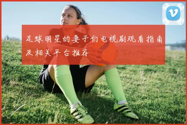 足球明星的妻子们电视剧观看指南及相关平台推荐