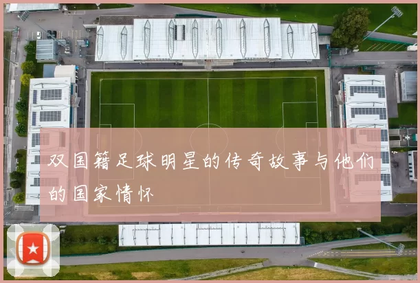 双国籍足球明星的传奇故事与他们的国家情怀