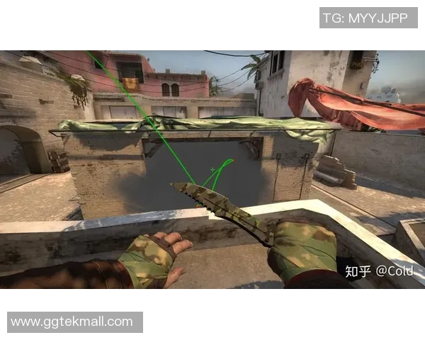 CSGO赛事分析:深入探讨WE战队的游戏节奏与战术布局